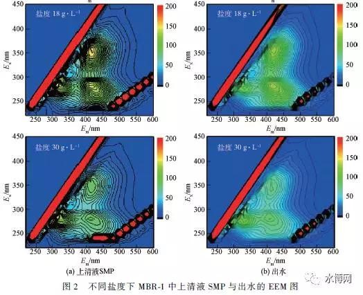 不同鹽度下MBR-1 上清液SMP 與出水的3DEEM圖
