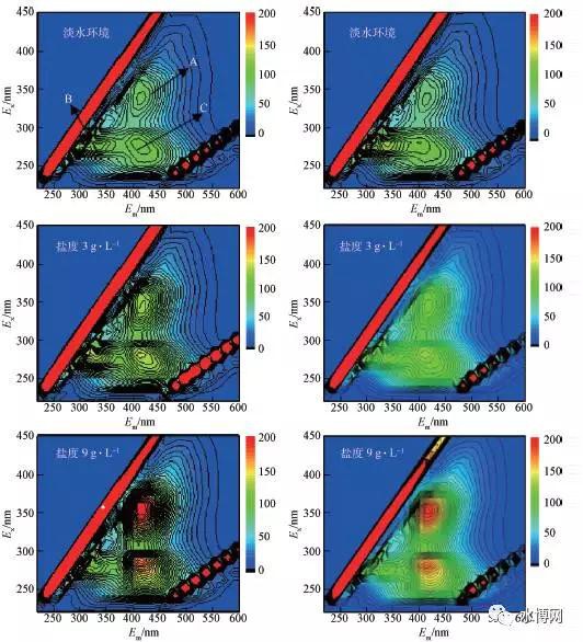 不同鹽度下MBR-1 上清液SMP 與出水的3DEEM圖